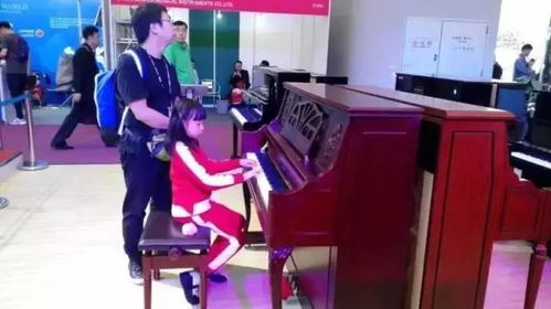 聚焦Music China 2017 中國(guó)（上海）國(guó)際樂(lè)器展覽會(huì)深度報(bào)道（三）——樂(lè)器篇