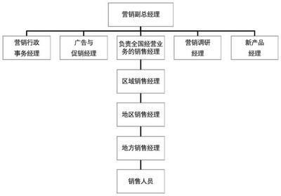 市場營銷策劃實操指導手冊 從戰略到執行的全流程解析